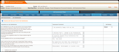 pes_self_assessment_job_satisfactions.png