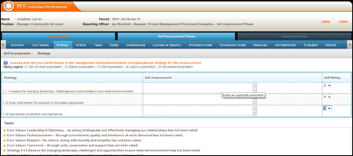 pes_self_assessment_strategies.png